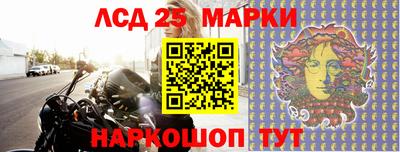 молекула духа Донской