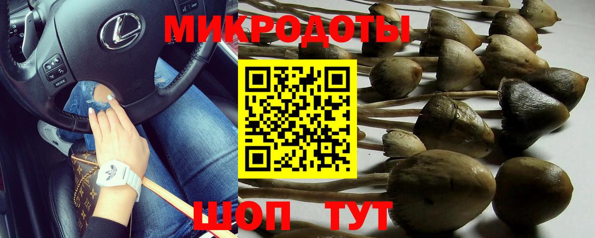 Галлюциногенные грибы MAGIC MUSHROOMS  Вход с VPN  Лысьва  Псилоцибиновые грибы мицелий 